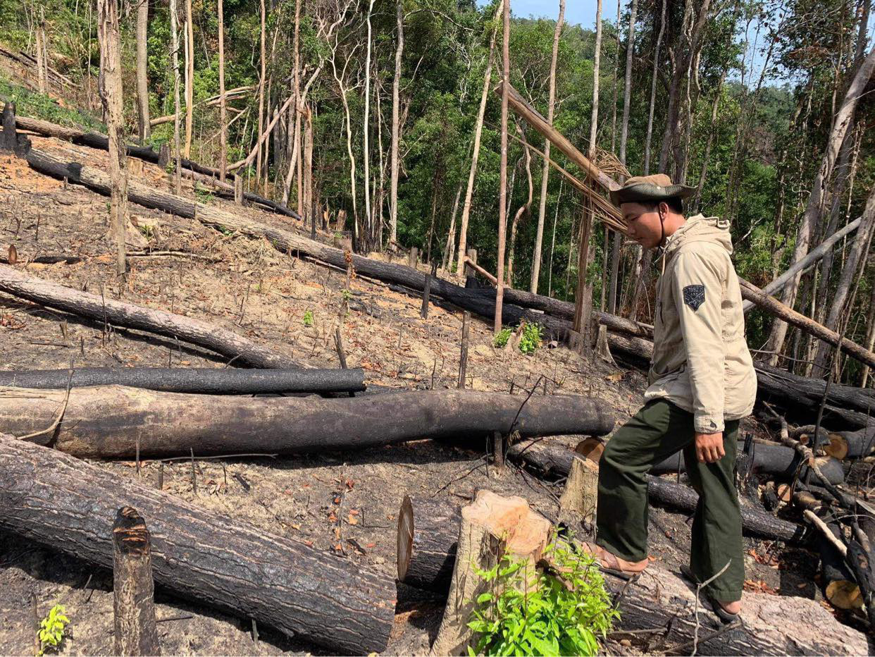Vụ mất 22.000 ha rừng tại 4 công ty lâm nghiệp: Sở NNPTNT Đắk Lắk nói gì?  - Ảnh 2.