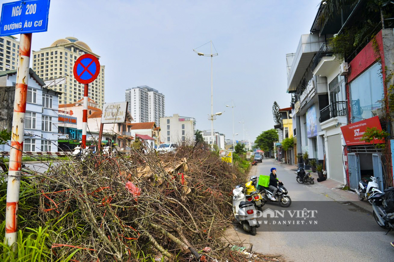 Hết cơn sốt tiền triệu, hoa lê rừng bị vứt đầy đường do không bán được - Ảnh 5.