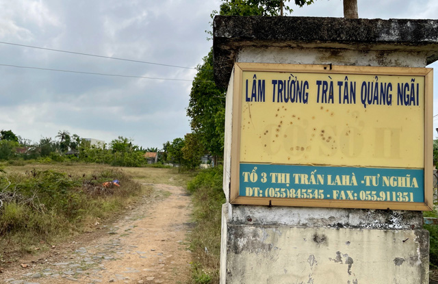 Quảng Ngãi: Bị giữ lại làm không công, Giám đốc quá tuổi hưu 4 năm viết đơn xin nghỉ hưu(?)  - Ảnh 1.