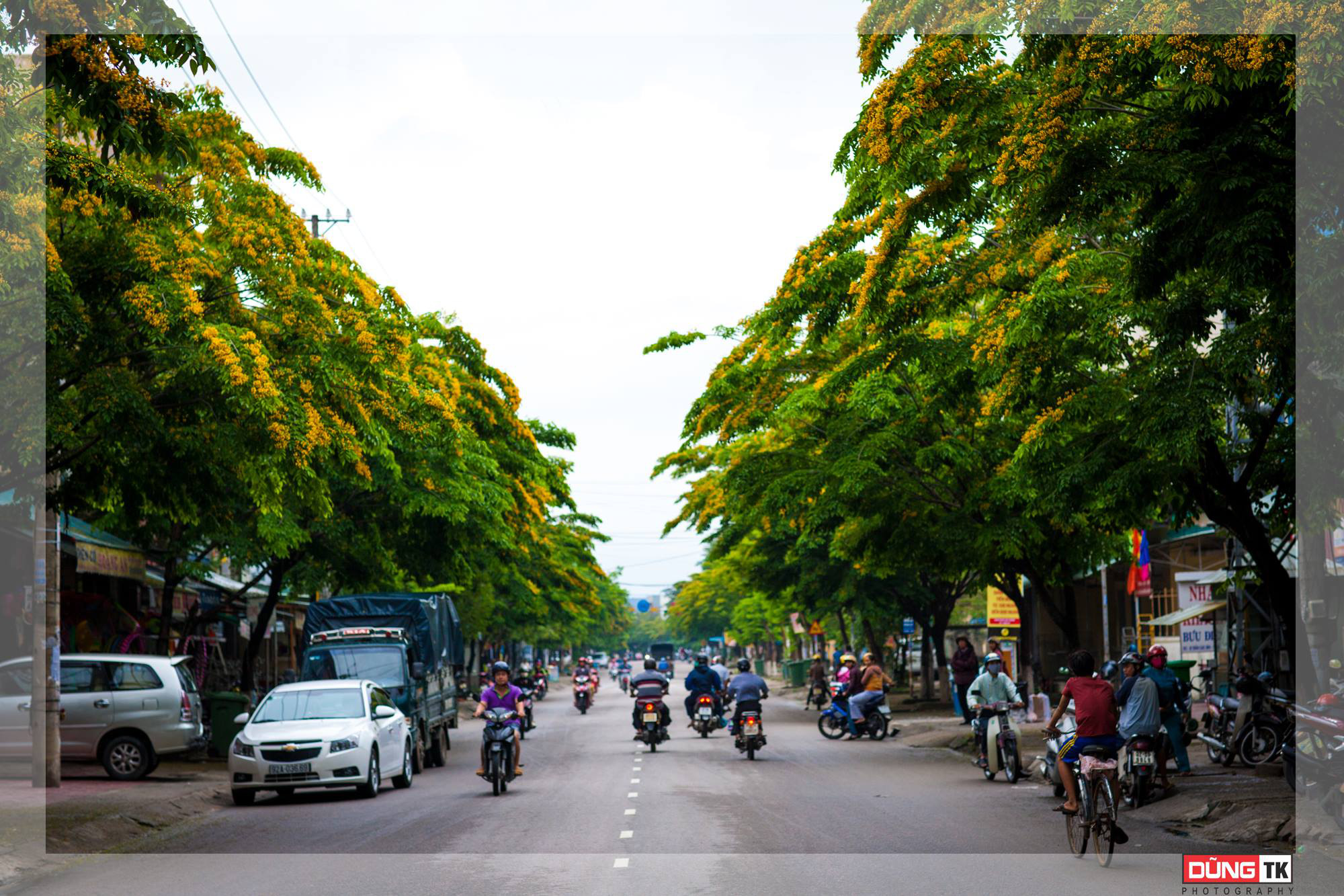 Quảng Nam: Đưa không gian nhà nông vào lễ hội “Tam Kỳ - Mùa Hoa Sưa 2021”   - Ảnh 1.