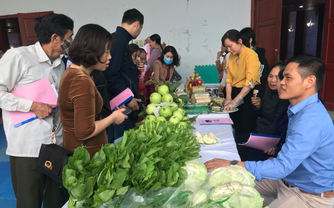 Nông dân, HTX than khó tiêu thụ nông sản