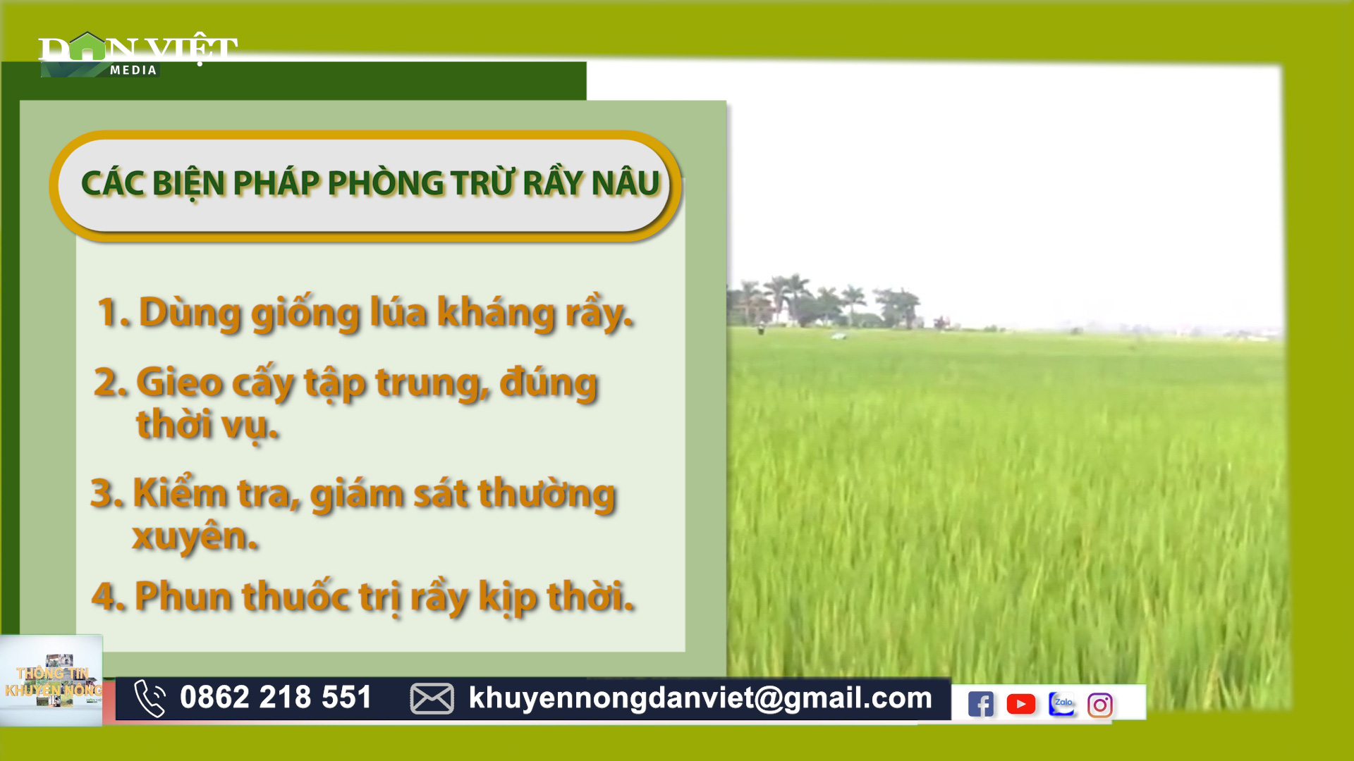 Mách bà con thuốc trừ rầy nâu hiệu quả cho vụ lúa đông xuân - Ảnh 5.