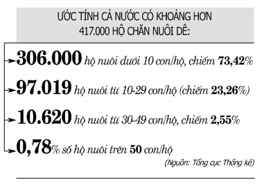 Nhiều tiềm năng phát triển nuôi dê, cừu  - Ảnh 3.