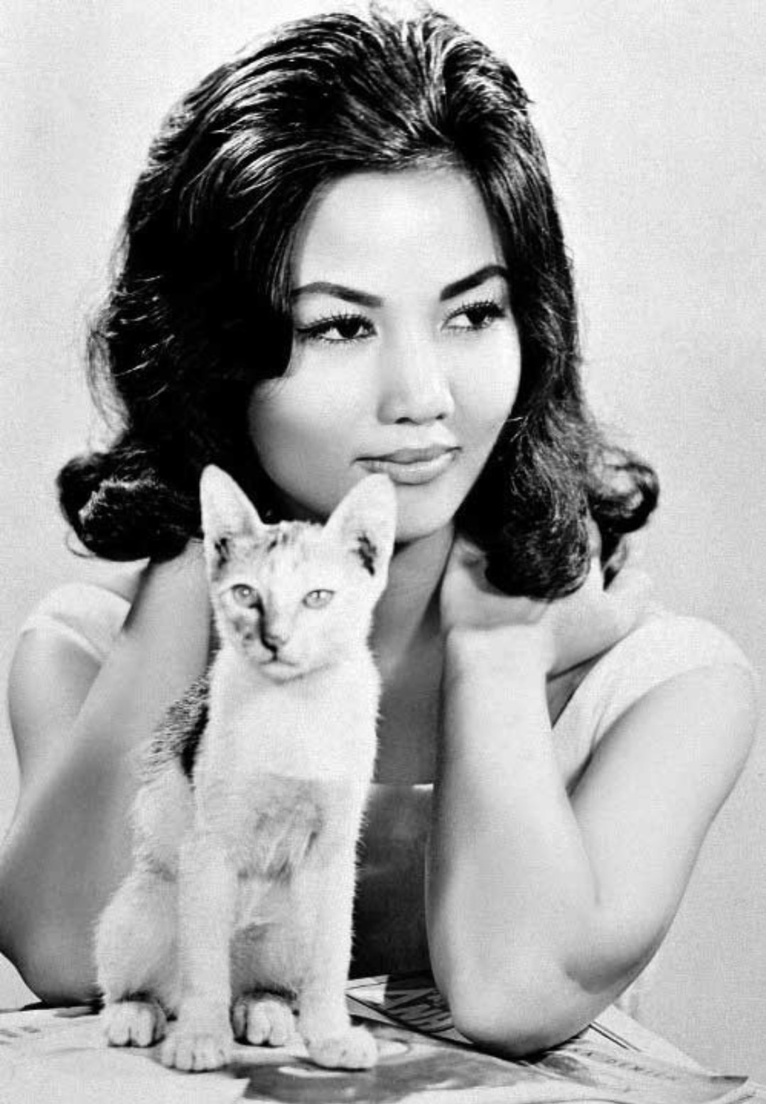 Người Việt duy nhất được Hollywood vinh danh &quot;Thành tựu trọn đời&quot; - Ảnh 4.