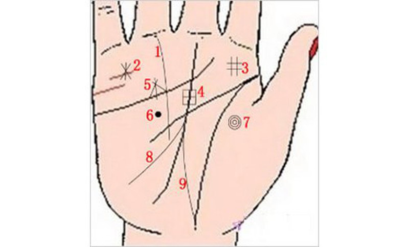 Sở hữu 1 trong 9 vân tay này, bạn có số mệnh giàu có, viên mãn cả đời - Ảnh 1.