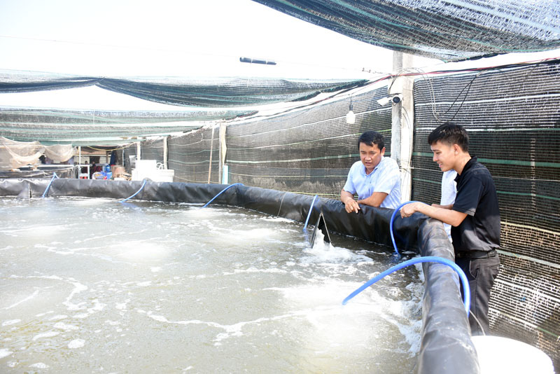 Nuôi tôm công nghệ cao, tỉnh Bến Tre phấn đấu có mấy ngàn ha, vì sao giá trị xuất khẩu tôm của tỉnh bằng 0? - Ảnh 1.