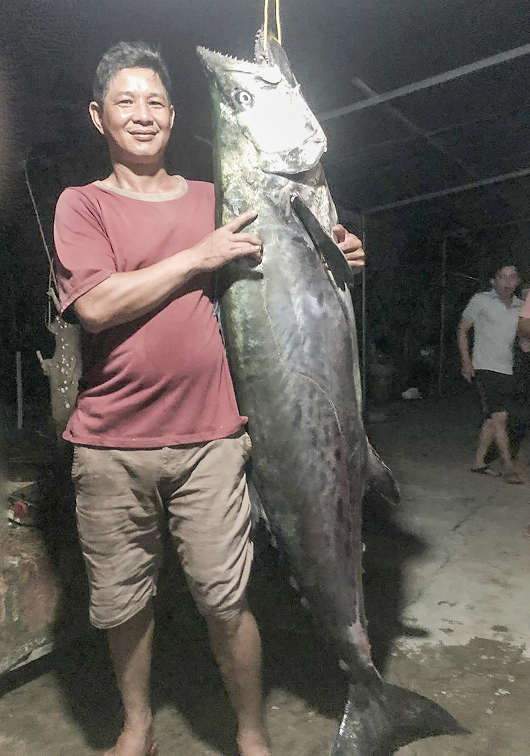 Quảng Ngãi: Lần đầu tiên câu được cá thu gần 50 kg, mặc thương lái trả mỏi mồm, chủ đem xẻ thịt chia cả xóm - Ảnh 1.