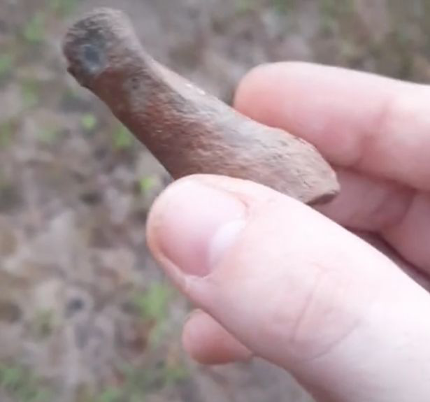 Tìm thấy ngón tay cái của quái vật Bigfoot, to gấp đôi người bình thường - Ảnh 1.