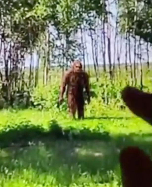 Tìm thấy ngón tay cái của quái vật Bigfoot, to gấp đôi người bình thường - Ảnh 3.