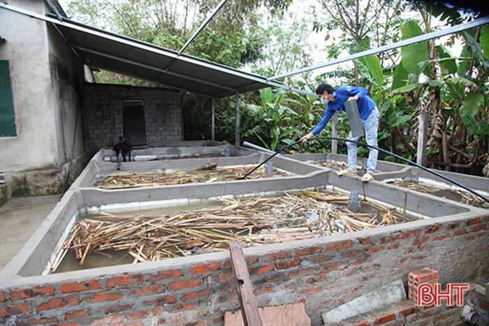 Nuôi lươn đồng, ra đồng bắt lươn giống về nuôi trong chậu nhựa, thanh niên nghèo tỉnh Hà Tĩnh nuôi chí làm giàu - Ảnh 6.