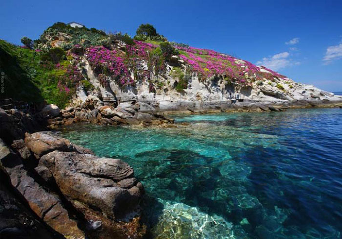 Du lịch Italia: Sự cuốn hút của “thiên đường ẩn giấu” - đảo Elba kỳ thú  - Ảnh 1.