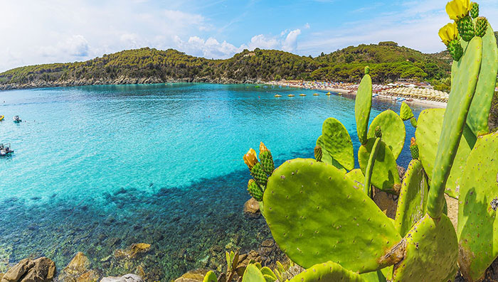 Du lịch Italia: Sự cuốn hút của “thiên đường ẩn giấu” - đảo Elba kỳ thú  - Ảnh 5.