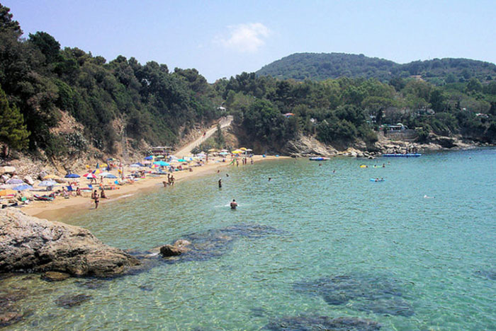 Du lịch Italia: Sự cuốn hút của “thiên đường ẩn giấu” - đảo Elba kỳ thú  - Ảnh 7.