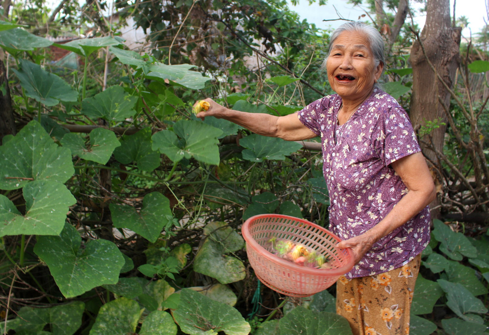 Kể chuyện làng: Tháng Giêng nhớ mùa hoa bí ven sông Yên - Ảnh 1.