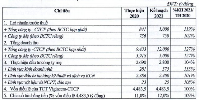 Viglacera trình kế hoạch lãi 1.000 tỷ năm 2021, tăng 19% - Ảnh 1.