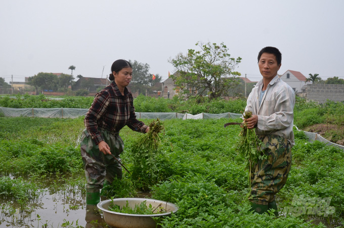 Bố tâm thần, mẹ động kinh, con học sinh giỏi quốc gia - Ảnh 2.