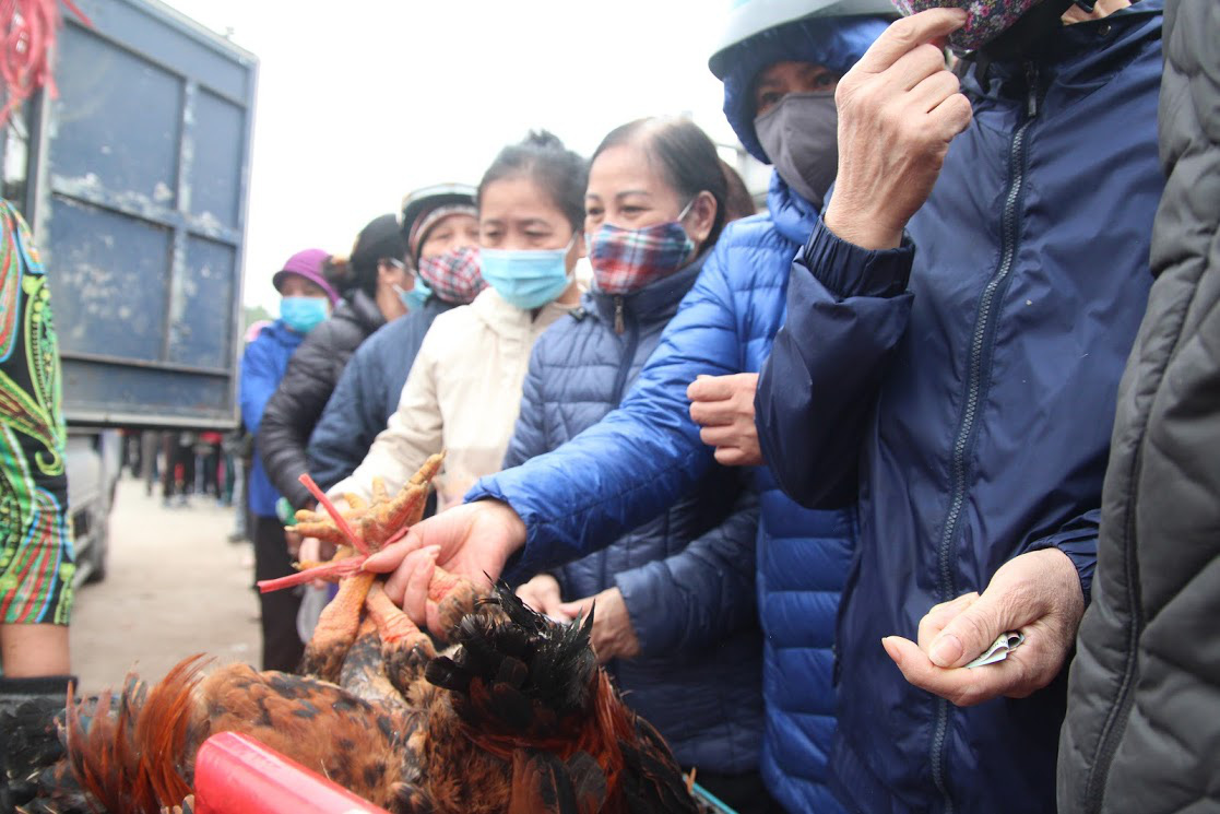 Người Hà Nội xếp hàng dài hàng trăm mét vài tiếng đồng hồ, trực chờ ‘giải cứu’ gà đồi Hải Dương - Ảnh 5.