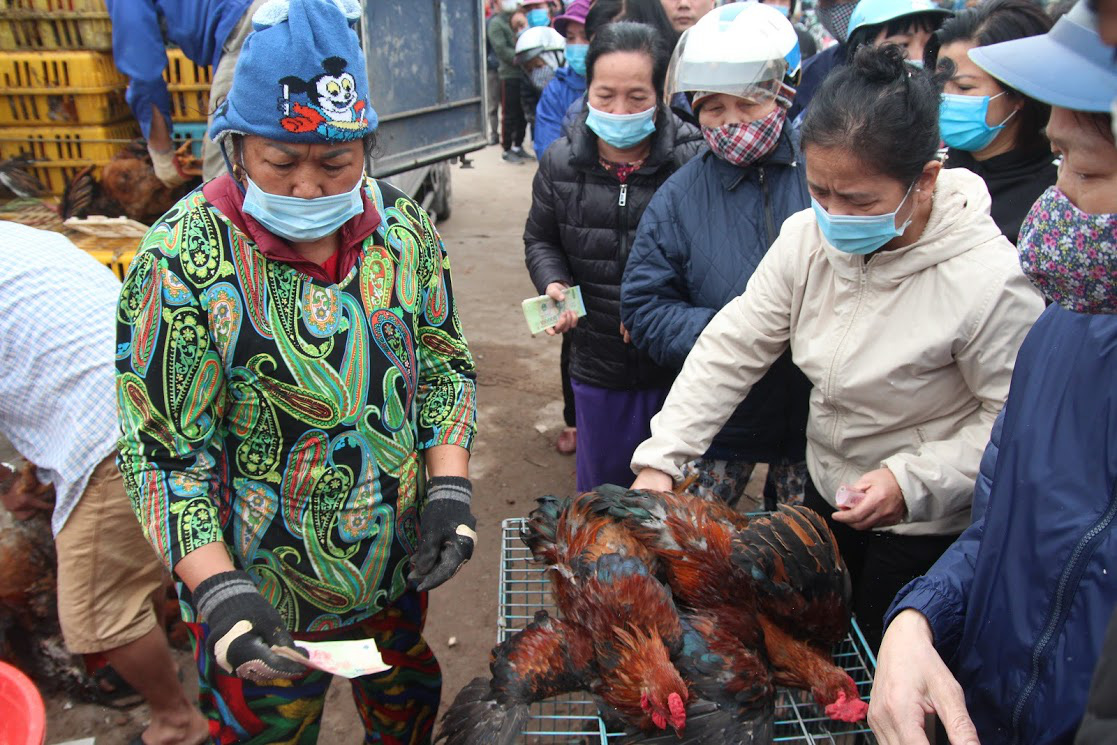 Người Hà Nội xếp hàng dài hàng trăm mét vài tiếng đồng hồ, trực chờ ‘giải cứu’ gà đồi Hải Dương - Ảnh 4.