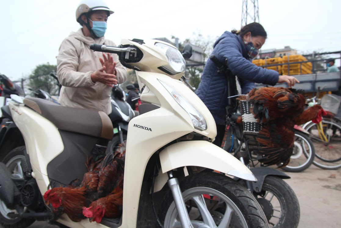 Người Hà Nội xếp hàng dài hàng trăm mét vài tiếng đồng hồ, trực chờ ‘giải cứu’ gà đồi Hải Dương - Ảnh 9.