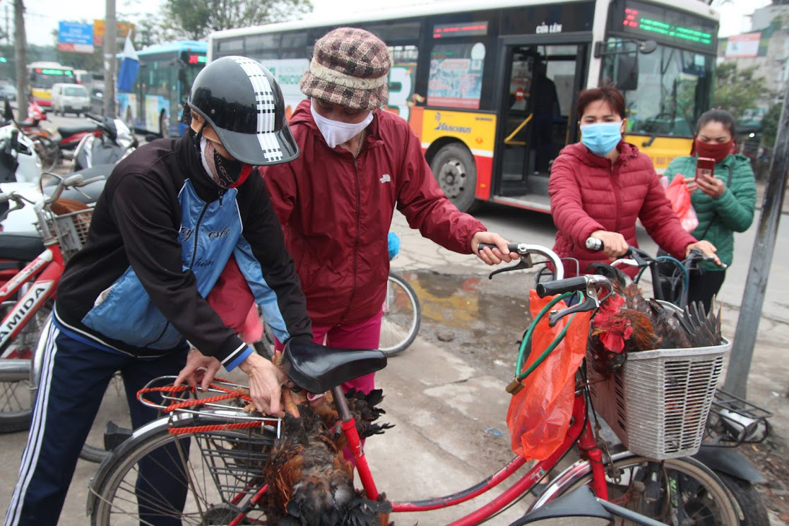 Người Hà Nội xếp hàng dài hàng trăm mét vài tiếng đồng hồ, trực chờ ‘giải cứu’ gà đồi Hải Dương - Ảnh 8.