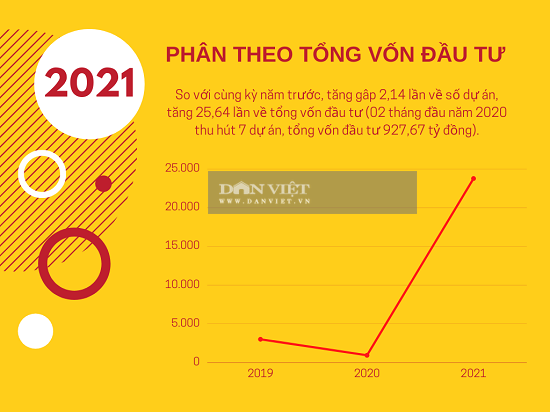 Bất ngờ dòng vốn đầu tư nghìn tỷ &quot;rót&quot; vào Bình Định - Ảnh 2.