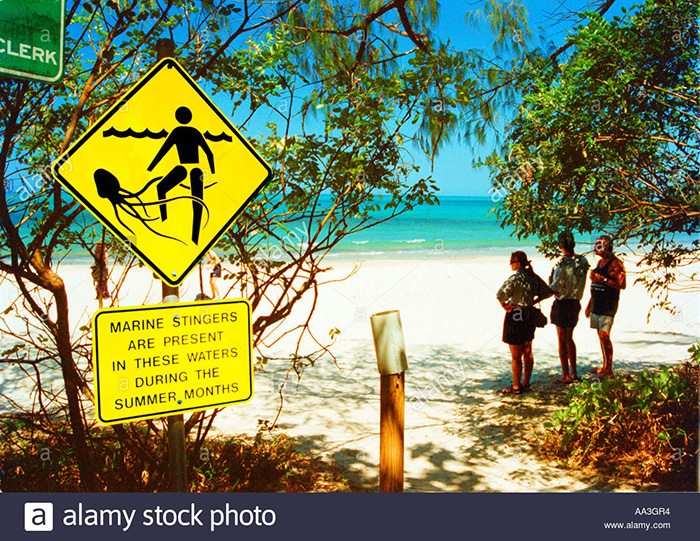 Du lịch Hè: Cẩn trọng với những bãi biển nguy hiểm nhất thế giới - Ảnh 4.