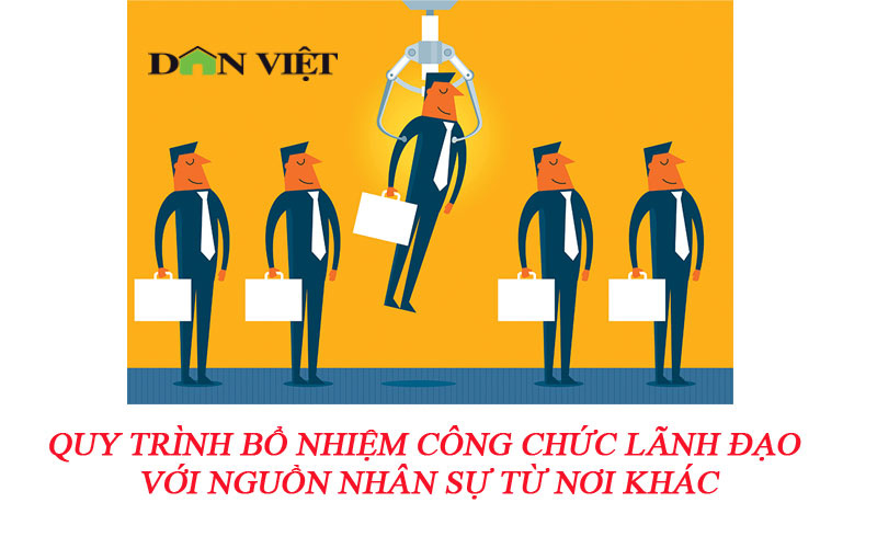 Quy trình bổ nhiệm công chức lãnh đạo với nguồn nhân sự từ nơi khác - Ảnh 1.