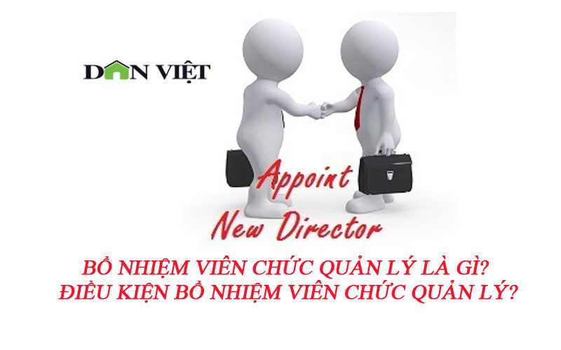 Bổ nhiệm viên chức quản lý là gì? Điều kiện bổ nhiệm viên chức quản lý? - Ảnh 1.