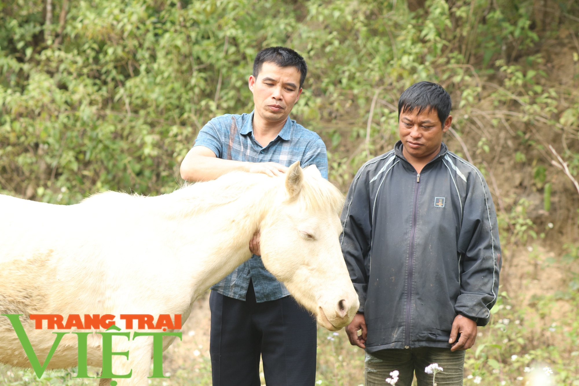 Bức tranh nông thôn mới ở huyện nghèo biên giới Sốp Cộp ngày càng tươi sáng - Ảnh 4.