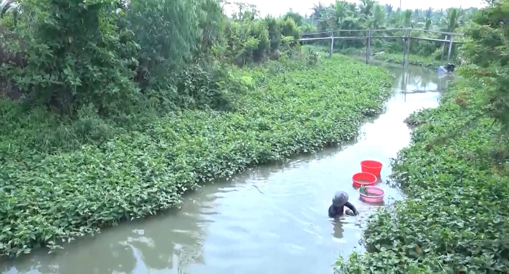 Săn trùn chỉ, nghề &quot;hạ bạc&quot; nhưng ăn nên làm ra - Ảnh 2.