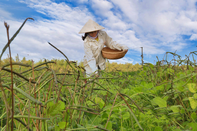 Sắp diễn ra ngày hội “Quảng Nam - vùng đất mở cho khởi nghiệp sáng tạo” lần 2  - Ảnh 2.