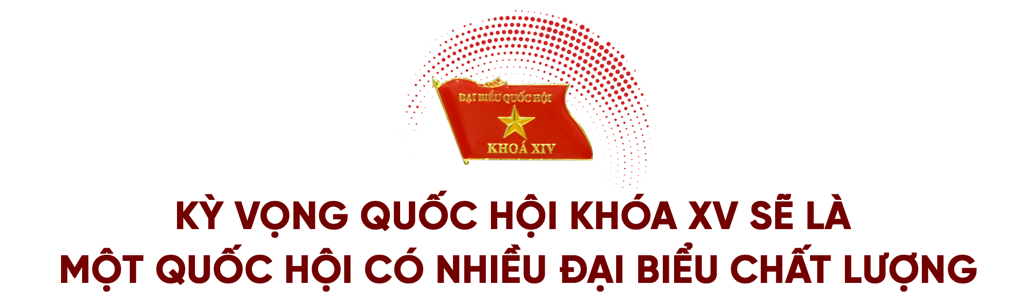 GS. AHLĐ Nguyễn Anh Trí: “Tôi mong muốn vào Quốc hội không phải vì vụ lợi hay chức tước” - Ảnh 18.