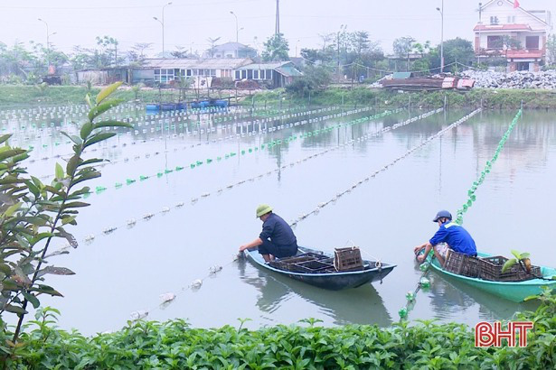 Hà Tĩnh: Chi 1,7 tỷ đồng nuôi con nằm im lìm dưới ao để làm gì? - Ảnh 5.