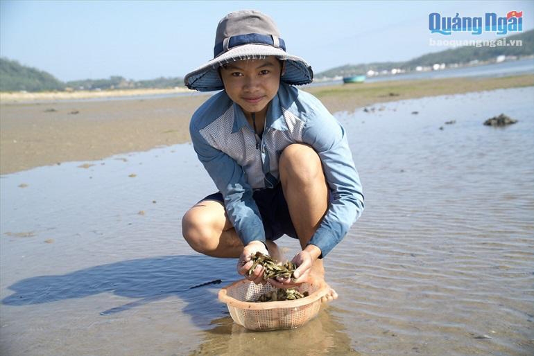 Quảng Ngãi: Rủ nhau đi săn loài có hình dáng thon thả như móng tay thiếu nữ, từ trẻ tới già ăn rồi đều mê - Ảnh 2.