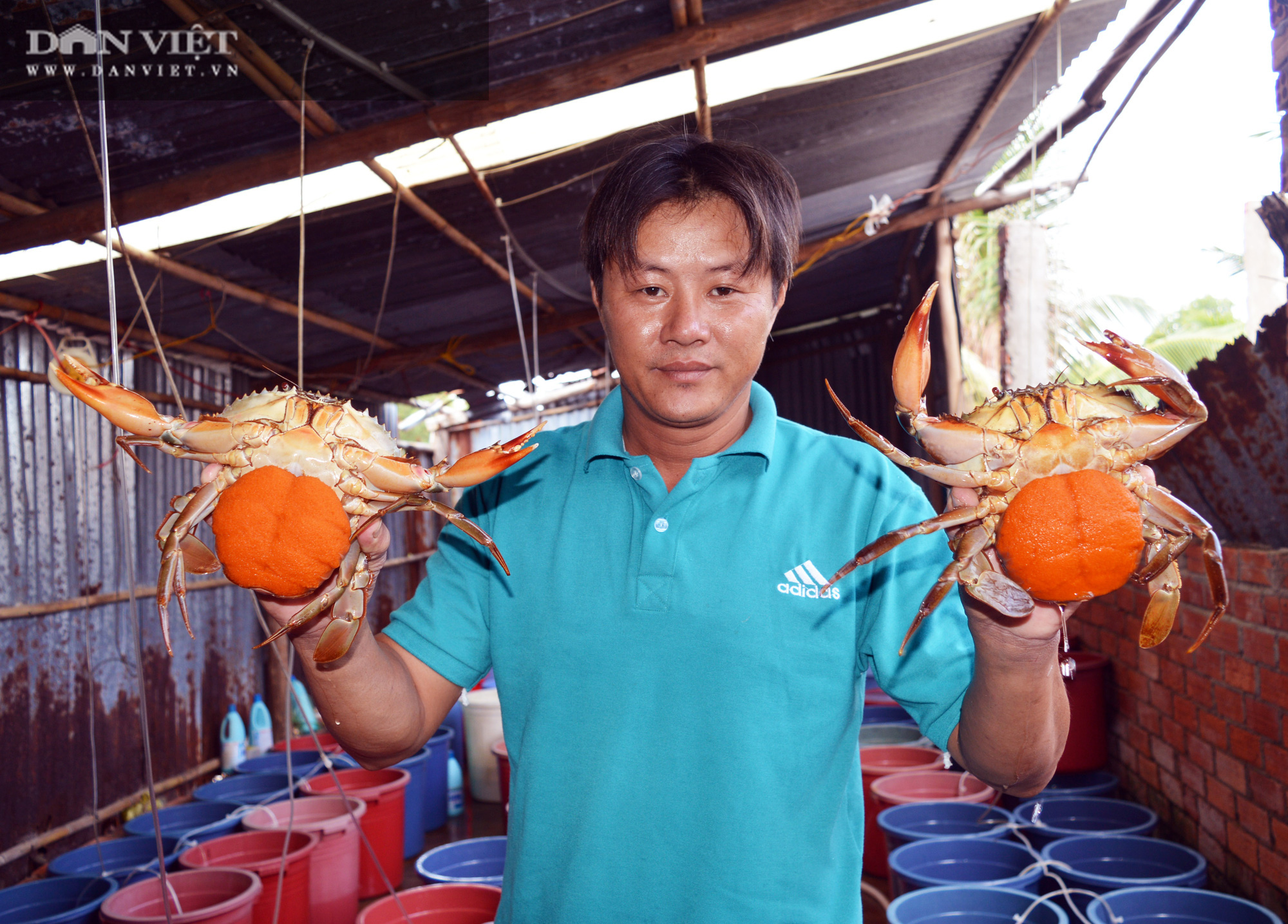 Cà Mau sẽ tổ chức quảng bá đặc sản “đỉnh của chóp” như cua Năm Căn, mật ong U Minh - Ảnh 3.