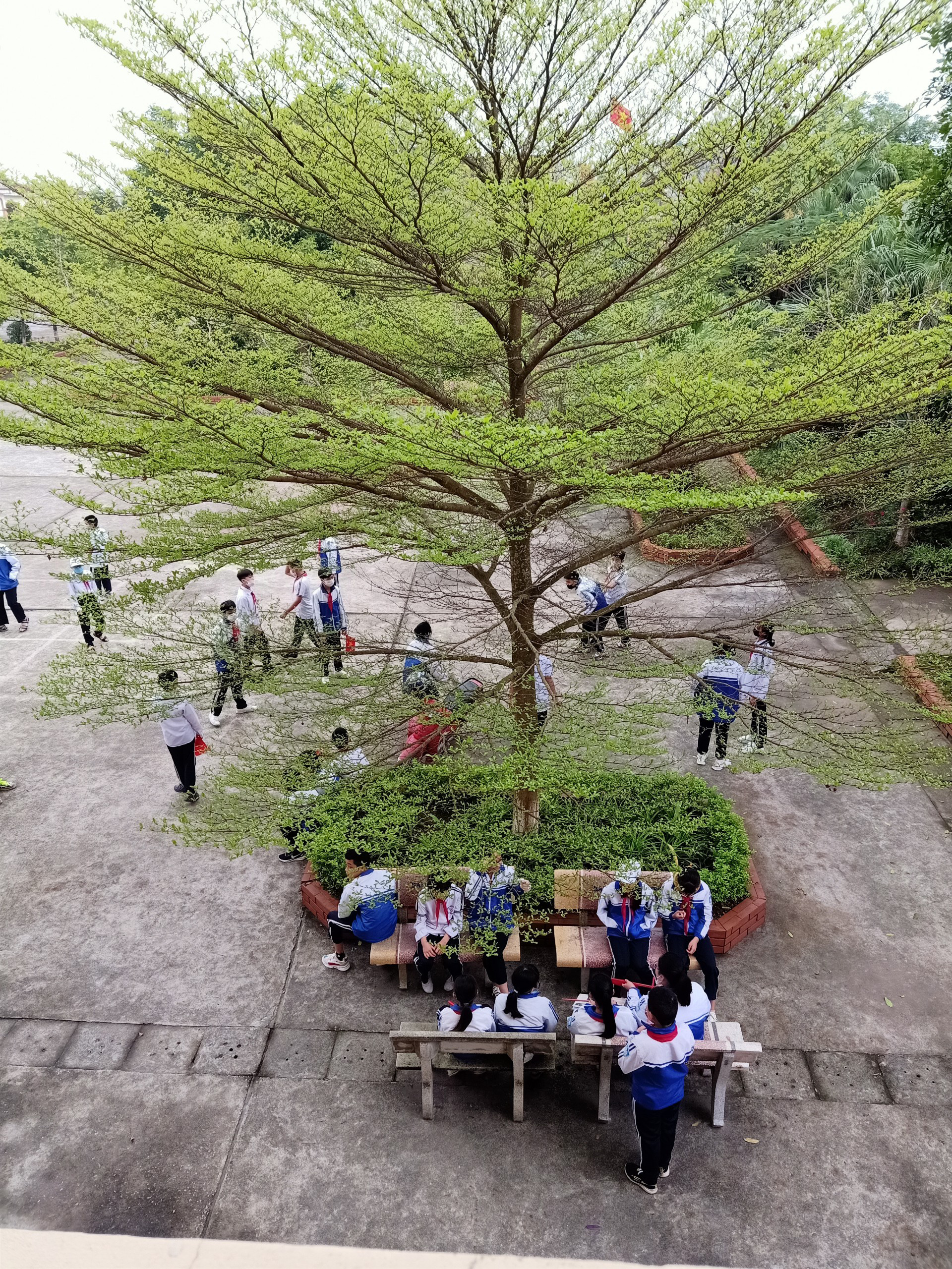 Hải Phòng: Học sinh phấn khởi quay trở lại trường sau kì nghỉ Tết kéo dài - Ảnh 9.