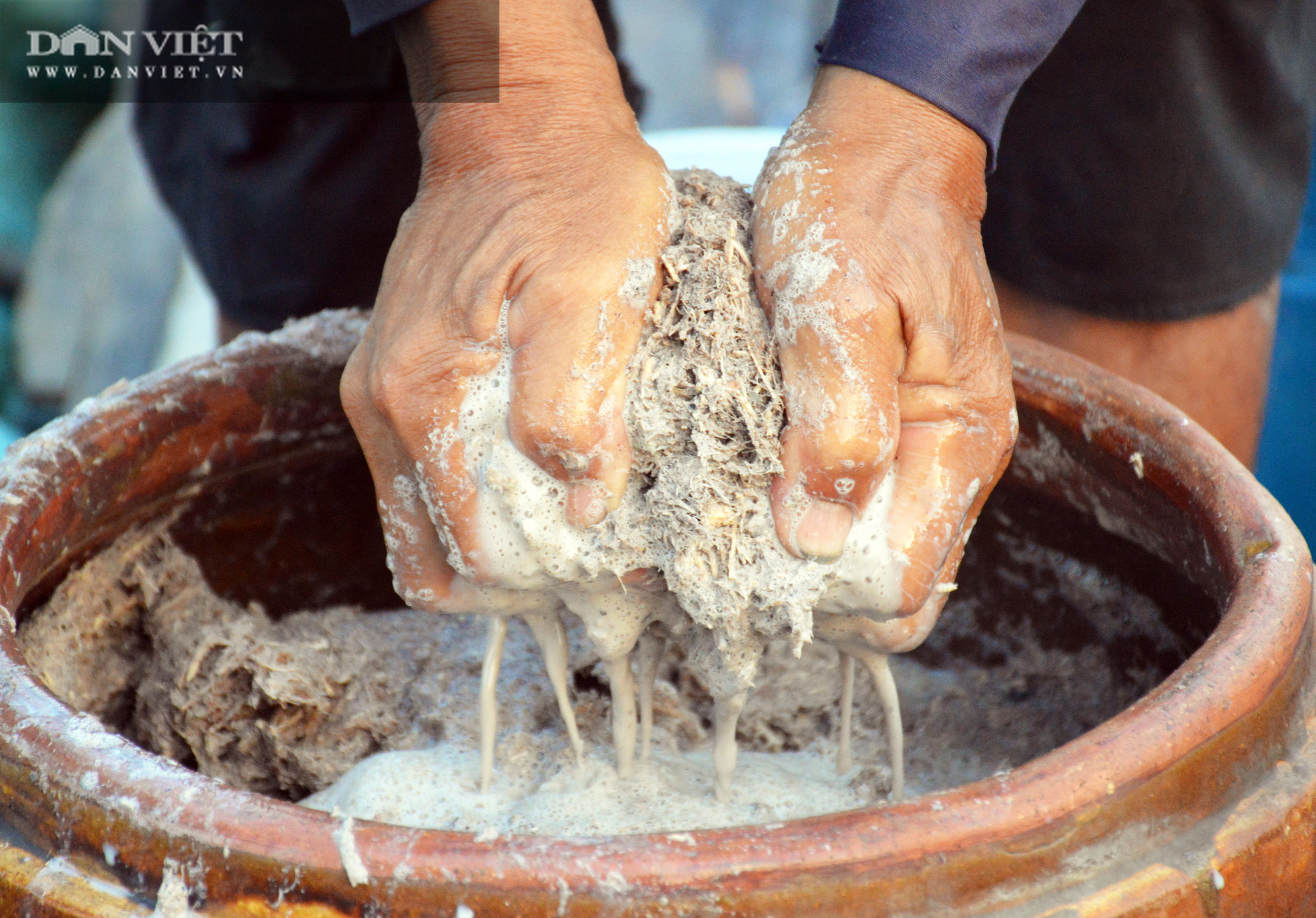 Dùng loại cây này thả xuống vuông hàng trăm kg cá chết, nông dân phải dùng xuống, thau đựng - Ảnh 4.