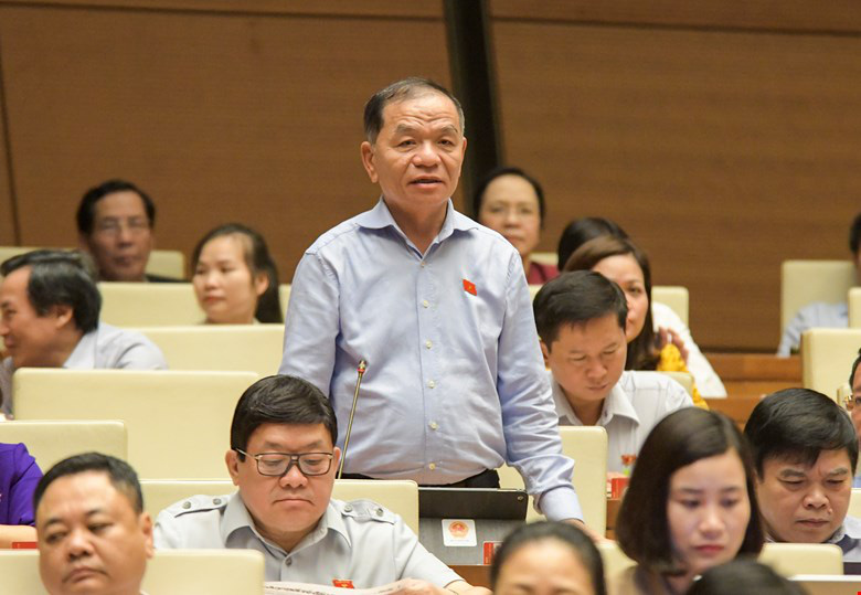 ĐBQH Lê Thanh Vân: Đại biểu Quốc hội mức lương khởi điểm tối thiểu phải như Thứ trưởng - Ảnh 1.