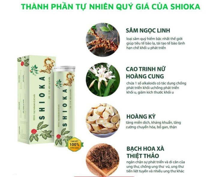 Shioka - Công nghệ hàng đầu Nhật Bản giúp hạn chế sự phát triển của u xơ tử cung, u vú lành tính - Ảnh 3.