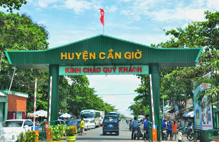 TP.HCM: Đề xuất thành lập Khu bảo tồn biển Cần Giờ - Ảnh 1.