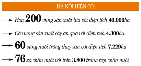 “Gam màu sáng” từ những vùng sản xuất tập trung - Ảnh 3.