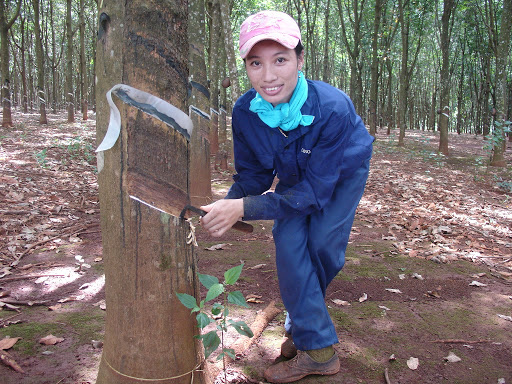 Hóa ra Trung Quốc gom hầu hết nông sản xuất khẩu này của Việt Nam để phục ngành công nghiệp hồi phục sau 4 năm - Ảnh 1.