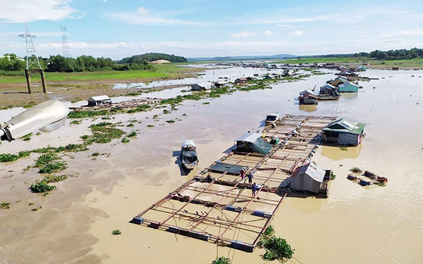 Cảnh báo: Ngăn ngừa cá chết hàng loạt trên sông La Ngà, sông Sài Gòn sau mưa lớn đầu mùa - Ảnh 1.