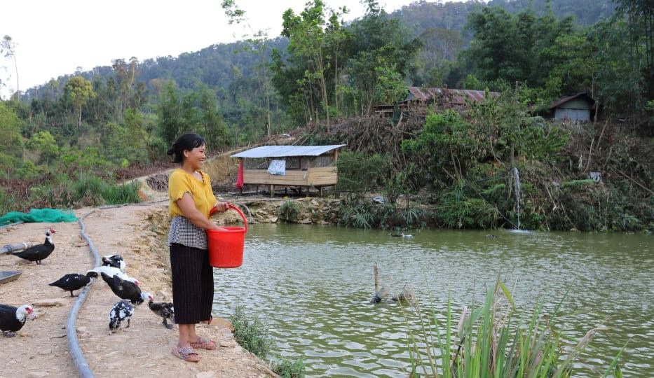 Khởi nghiệp từ chăn nuôi vịt xiêm, một phụ nữ người Cơ Tu vươn lên khá giả - Ảnh 1.