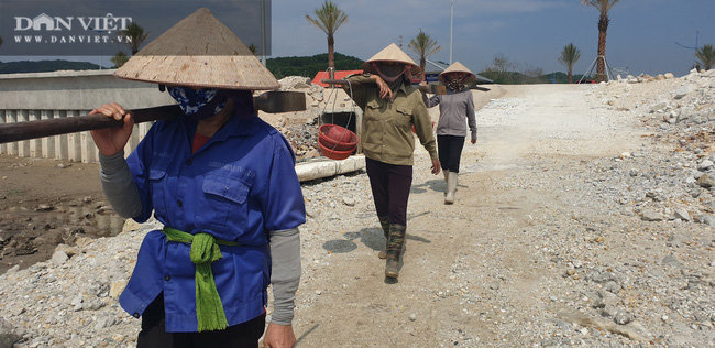 Quảng Ninh: Kỷ luật cán bộ liên quan vụ việc Công ty Phương Đông đổ đất lấn chiếm bãi triều ở Vân Đồn - Ảnh 3.