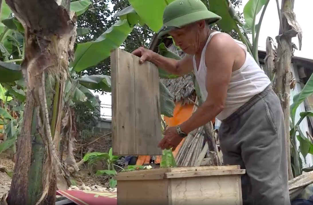Vợ chồng ông Lê Văn Hồng - xã Phú Nhuận (Như Thanh, Thanh Hóa) mỗi năm thu về 200 triệu đồng tiền nuôi ong 