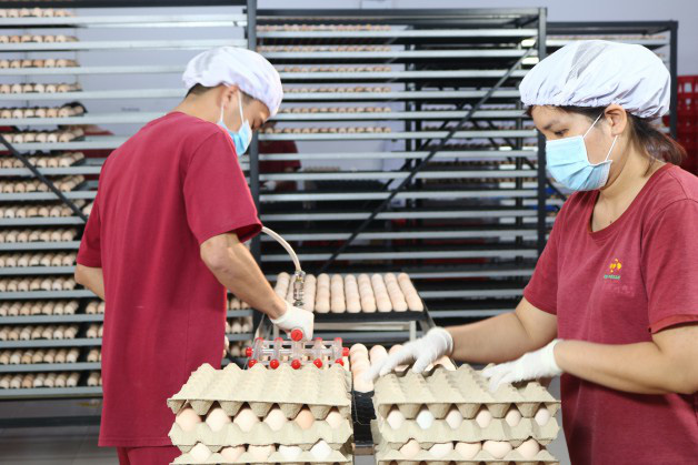 Tây Ninh: Sắp có nhà máy ấp trứng gia cầm 200 tỷ, xuất khẩu gà giống sang Campuchia chỉ trong 1 giờ  - Ảnh 3.