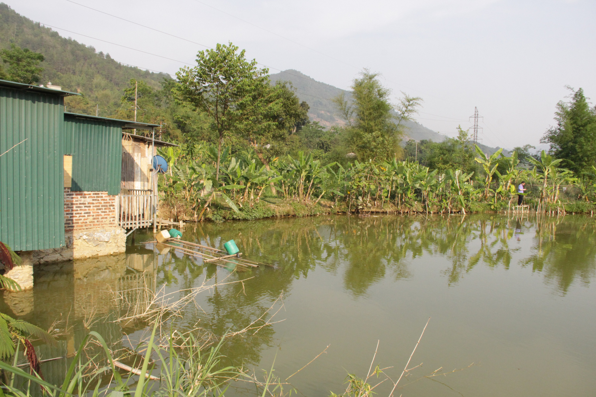 Sơn La: Tắm ao, 3 học sinh chết đuối thương tâm - Ảnh 1.