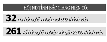 Trồng táo Đài, nuôi chim câu, nông dân nhanh khấm khá - Ảnh 3.