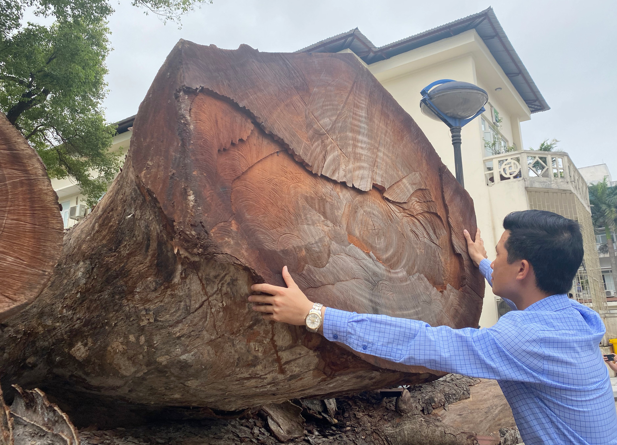 Lãnh đạo Bệnh viện Bạch Mai: &quot;Không có mất mát hy sinh nào mà không có kết quả&quot; - Ảnh 10.